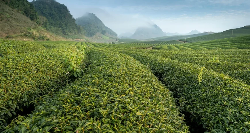 There are many variations of passages of Lorem Ipsum available, but majority have suffered teration in some form, by injected humour, or randomised words which don't look even slight believable. If you are going to use a passage of Lorem Ipsum.