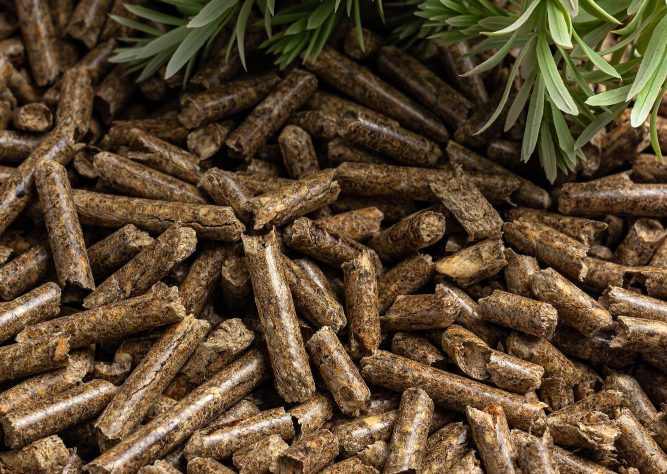 At ANOVIX ENERGY PVT. LTD., sustainability isn’t just part of our business — it’s the reason our business exists. We believe that every pellet we produce is a step toward a cleaner, greener, and more energy-resilient future for industries and communities alike.