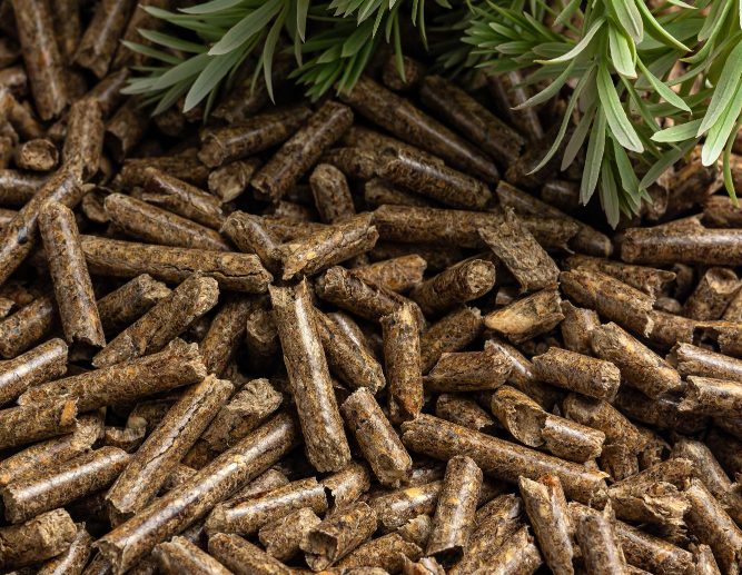 At ANOVIX ENERGY PVT. LTD., sustainability isn’t just part of our business — it’s the reason our business exists. We believe that every pellet we produce is a step toward a cleaner, greener, and more energy-resilient future for industries and communities alike.