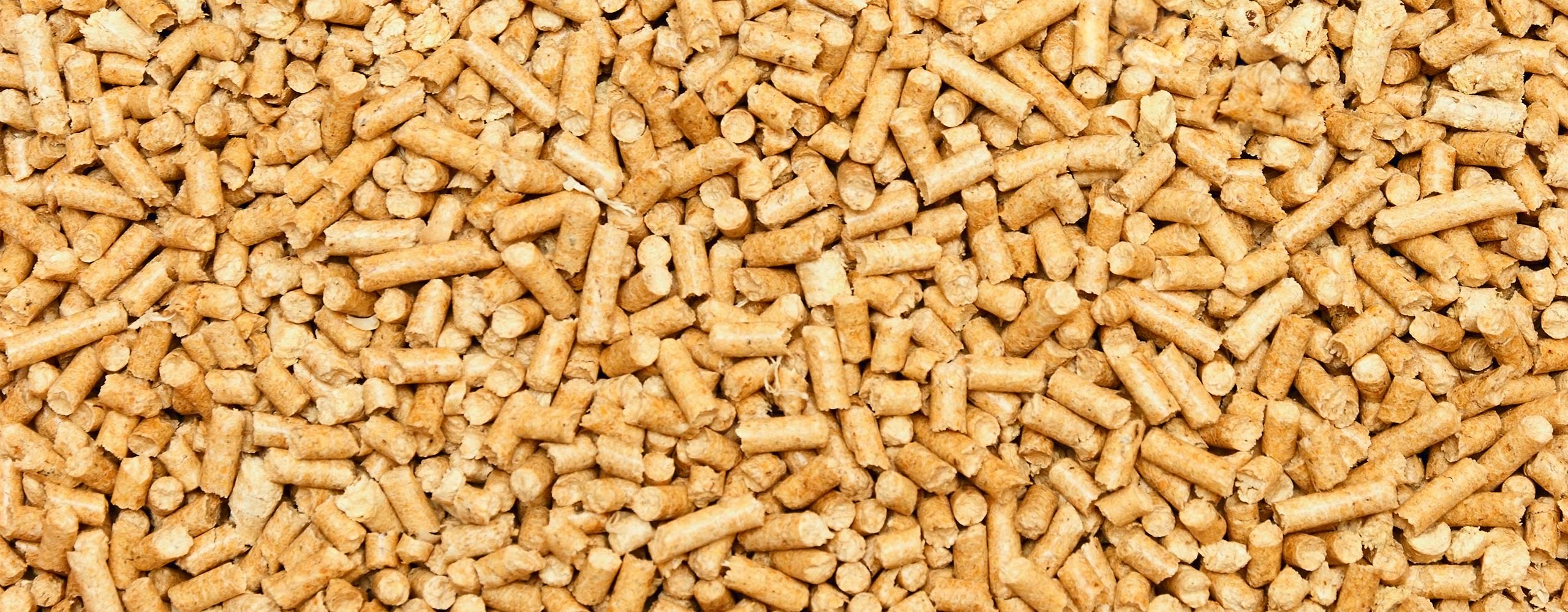 We grow fresh, organic produce using clean methods that protect nature, healthy food.